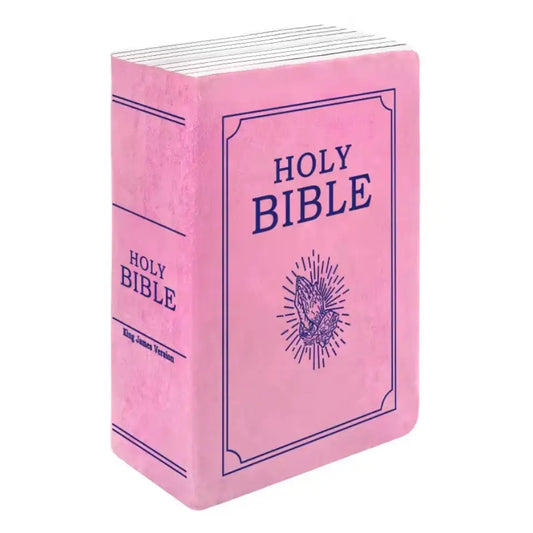 Bible Pillow